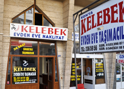 kelebek