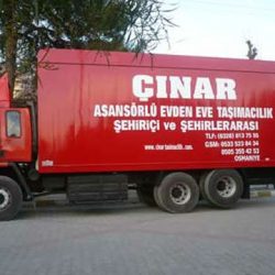 cinar