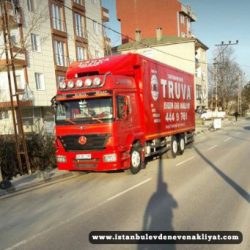 truva