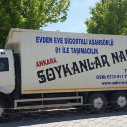 soykanlar